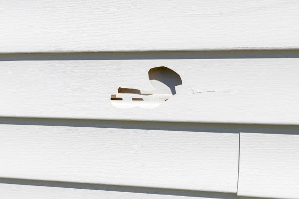 Historical Building Siding Restoration in Needles, CA