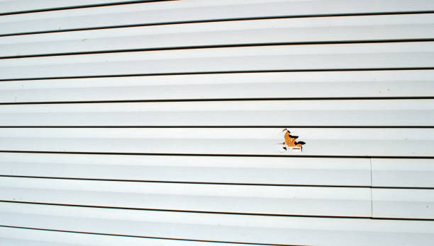 Best Fiber Cement Siding Installation  in Needles, CA
